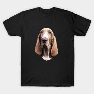 Bracco Italiano Chestnut T-Shirt